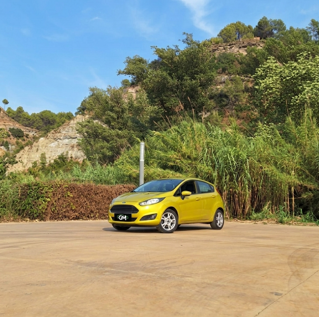 Ford Fiesta 1.25 Trend